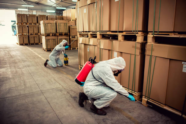 Best Termite Control Services  in Lenox, IA