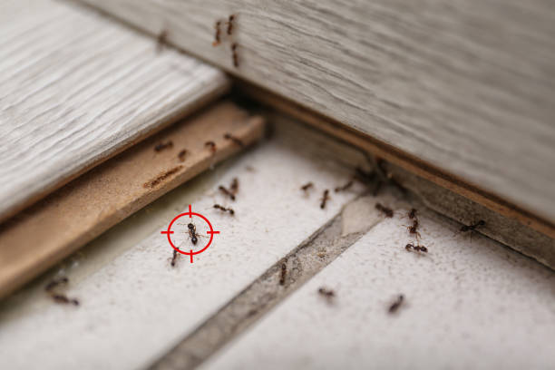 Best Wildlife Control Services  in Lenox, IA