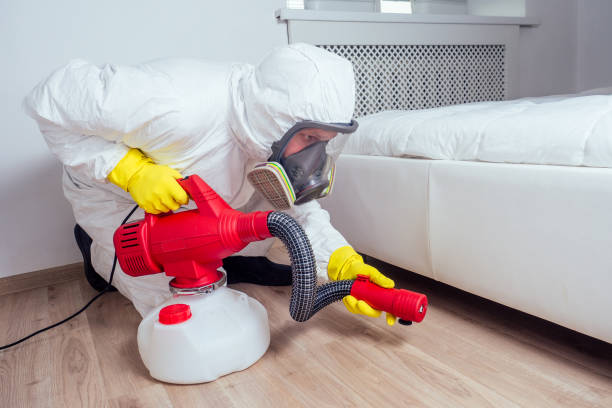 Reliable Lenox, IA Pest Control Solutions