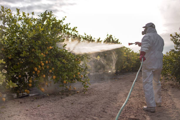 Best Pest Removal Services  in Lenox, IA