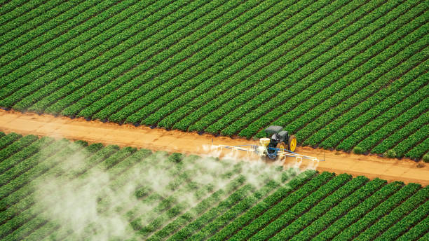 Best Commercial Pest Control Services  in Lenox, IA