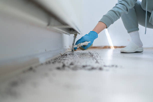 Best Pest Prevention Services  in Lenox, IA