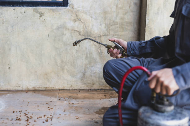 Best Emergency Pest Control  in Lenox, IA