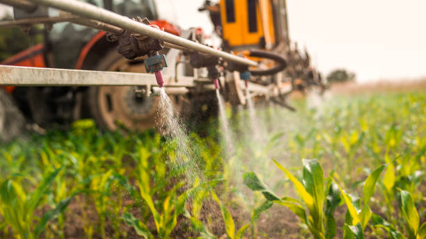 Best Exterminator Services  in Lenox, IA