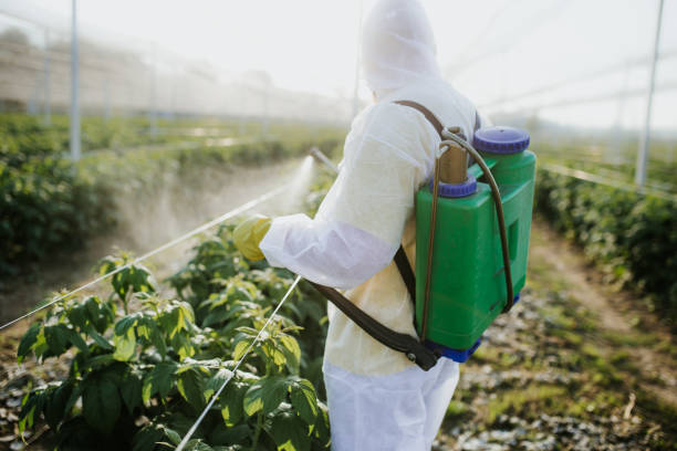 Best Best Pest Control Companies  in Lenox, IA